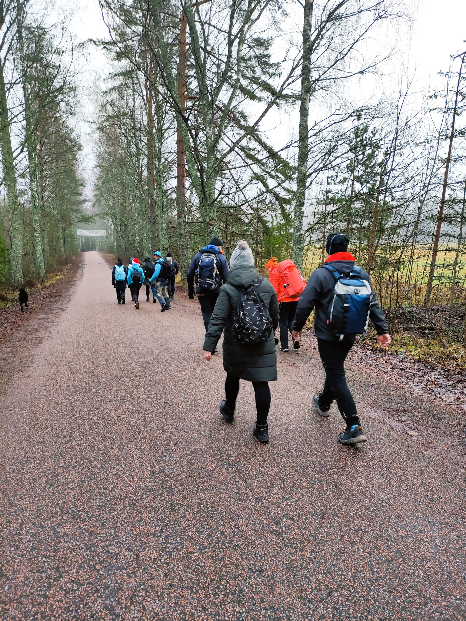 Free, but fading? Future of Estonia’s higher education and its sustainability