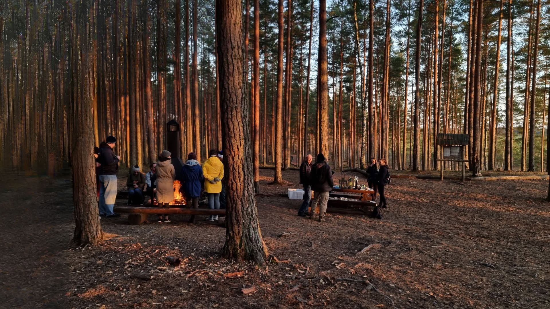 Hike in Meenikunno bog