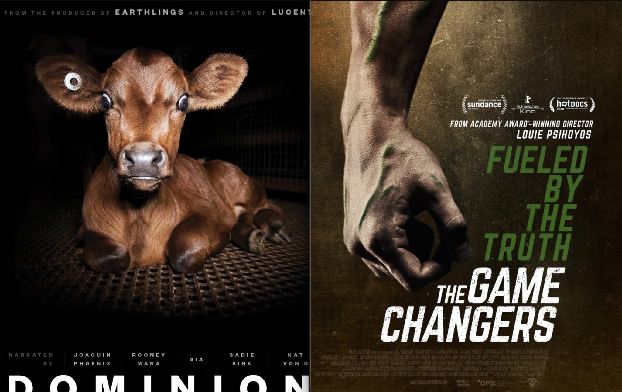 Dominion and The Game Changers film night